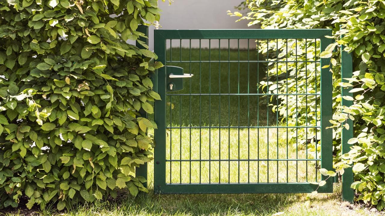 a sturdy gate is a great start, but in today’s world, a little tech can take things to the next level.