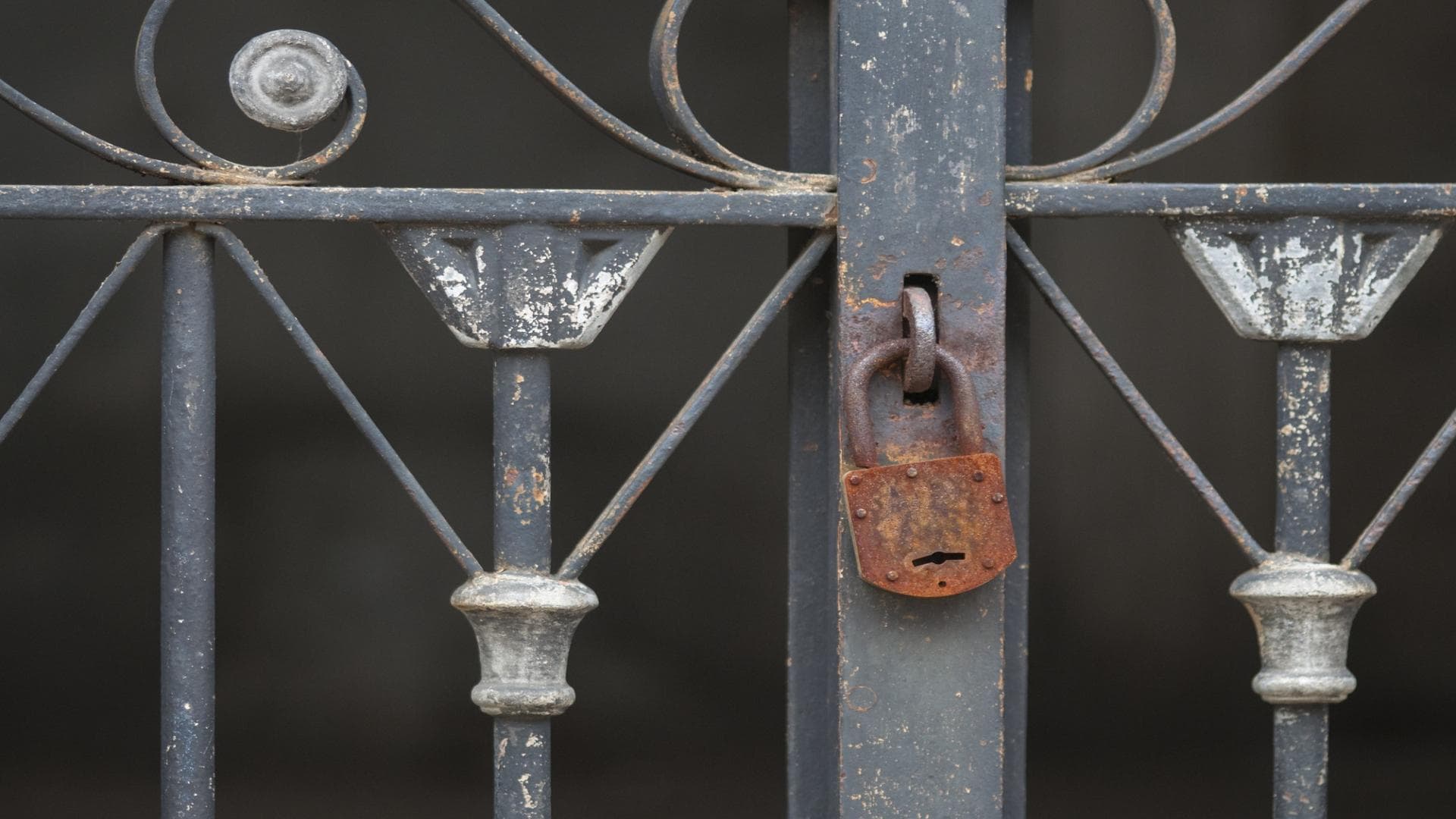 Whether you’re looking to add a touch of elegance, a modern edge, or a timeless charm to your property, the right gate can completely transform the look of your entrance.