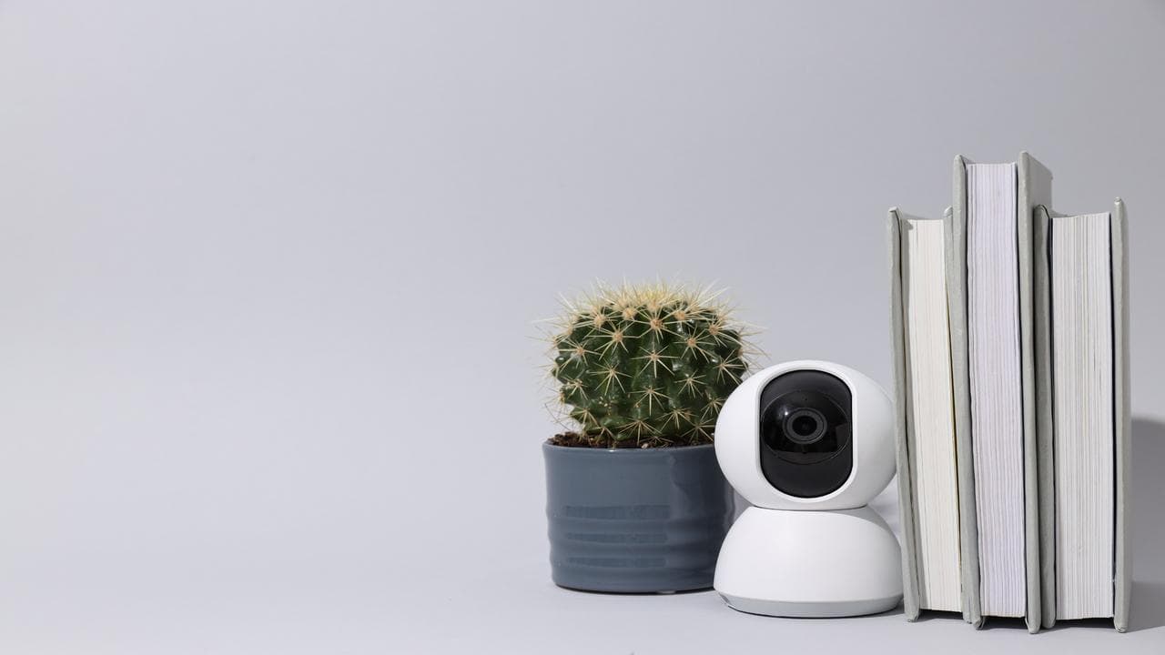 Many small indoor cameras also prioritize ease of use.
